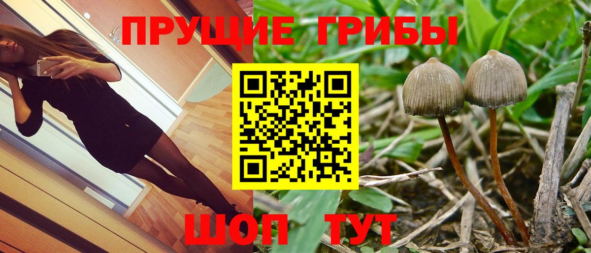 Галлюциногенные грибы Psilocybine cubensis  Вход с VPN  Прокопьевск 